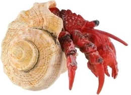 Realistlik teostus viimse detailini