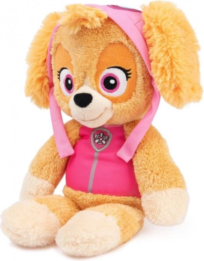 Skye ikooniline välimus sarjast PAW Patrol