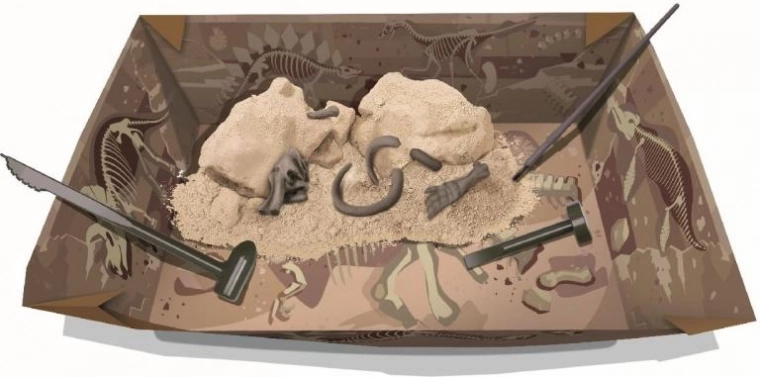 Kaeva ja avasta: kipsplokk fossiilidega