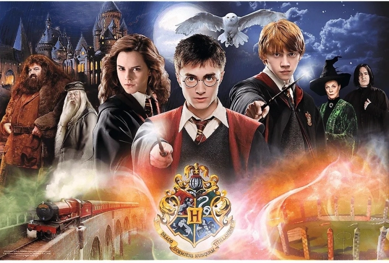 Magical HARRY POTTER scene