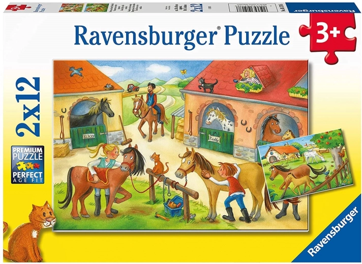 RAVENSBURGERi kvaliteet lihtsaks kokkupanekuks