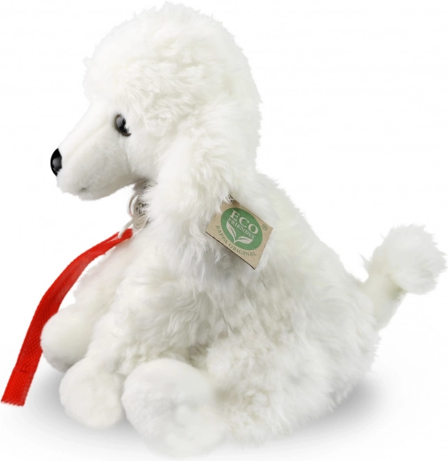 Eco-friendly täidis taaskasutatud PET-pudelitest