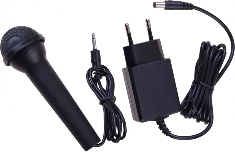 Karaoke-lõbu mikrofoniga ja salvestamisega