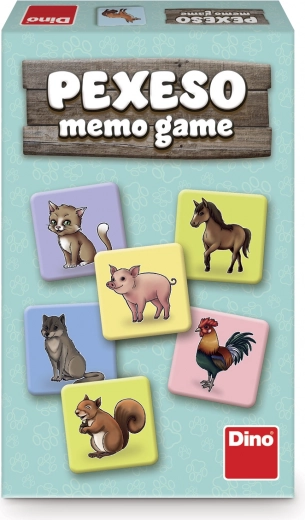 Kognitiivsete oskuste arendamine