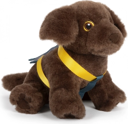 Pehme koer rakmetega