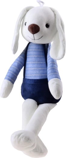 Ülisiin kaisukaaslane