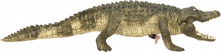 Lifelike details and scale texture