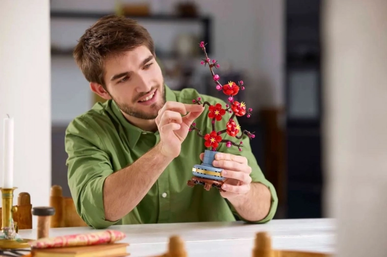 Lõõgastus loova ehitamisega täiskasvanutele