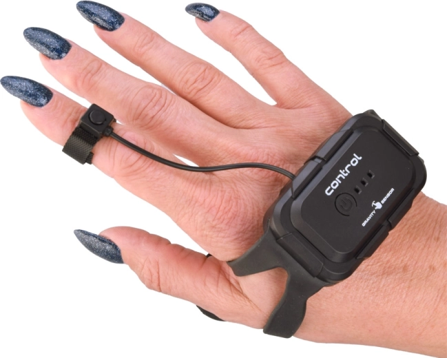 Žestijuhtimine randmel