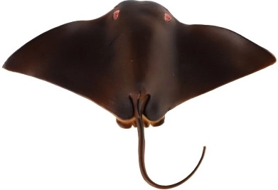 Hariv ja dekoratiivne