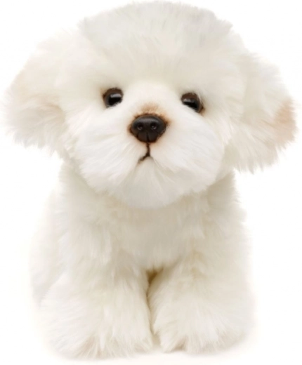 Keskkonnasõbralik ja ohutu teostus