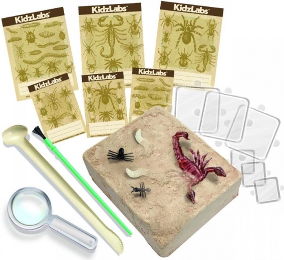 Täielik varustus ja õppekaardid