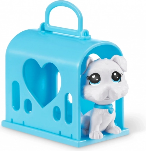 Adorable patients and safe transport
