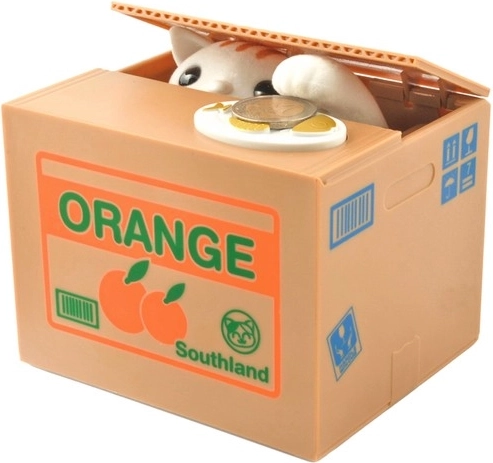 Lõbus interaktsioon: kass, käpp ja näugumine