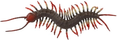 Realistlik välimus, mis pakub lusti