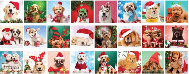 Christmas themes