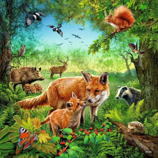 Bright colors and detailed illustrations