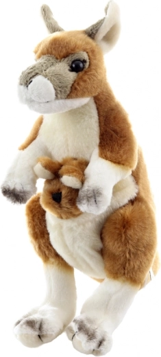 Adorable joey in the pouch