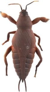 Ülielastne ja venitatav materjal