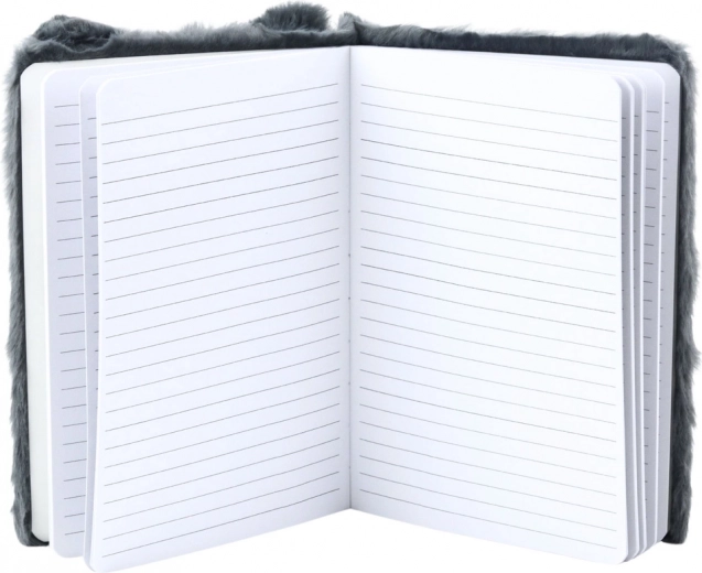 Praktiline jooneline sisu