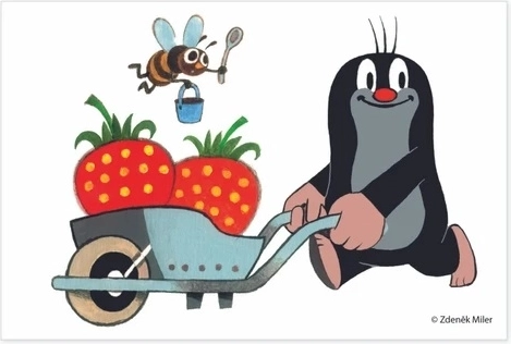 Tugev puit ja Tšehhi tootmine