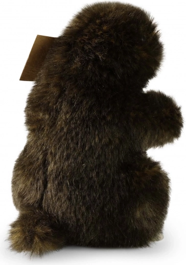 Ohutu alates sünnist