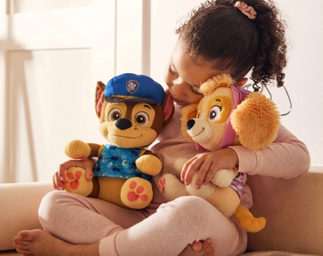 PAW PATROLi lemmiktegelased