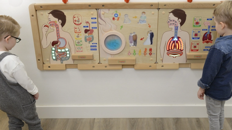 Safe wall-mounted design for schools and home