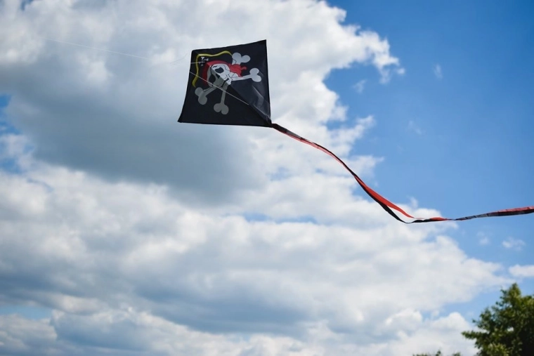 Stable flight even in variable winds