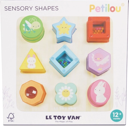 Multisensory fun in 9 shapes