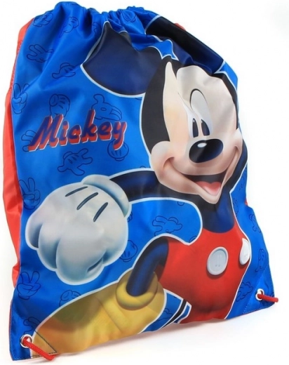 Design with Mickey theme