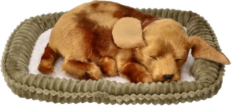 Realistlik uni ja õrn hingamine