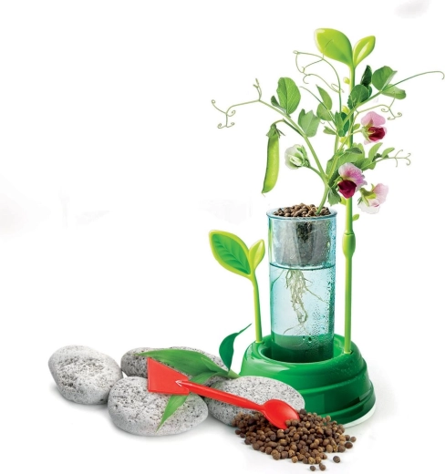 Läbipaistev anum juurte jälgimiseks