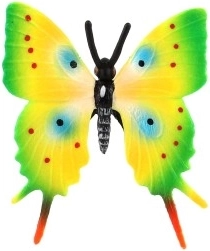 Realistic wing colors and pattern