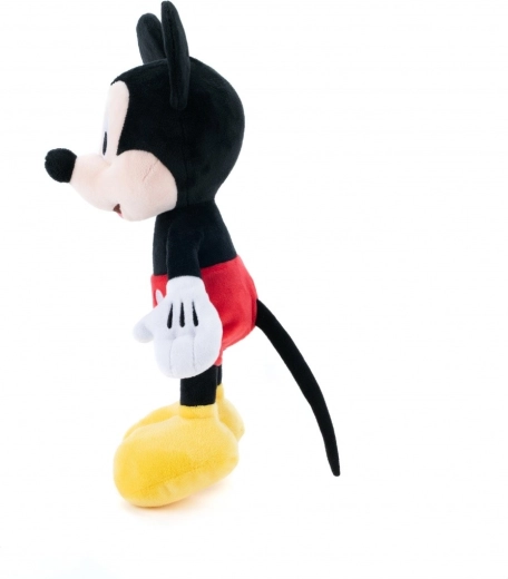 Lihtne hooldus ja mitmekülgne kasutus