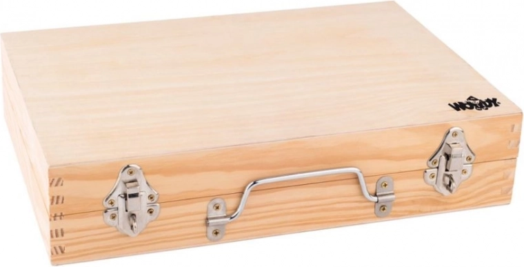Sturdy carry case with metal clasps for travel