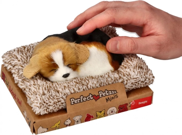 Pehme pesa mugavuseks