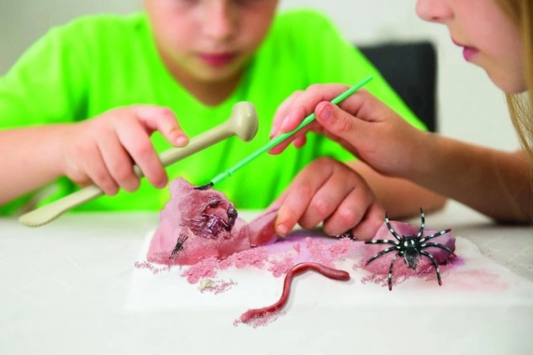 Kaeva ja avasta peidetud putukad