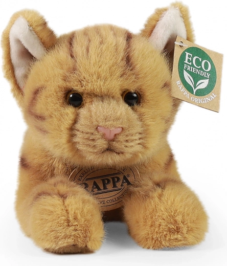 Eco-Friendly Material
