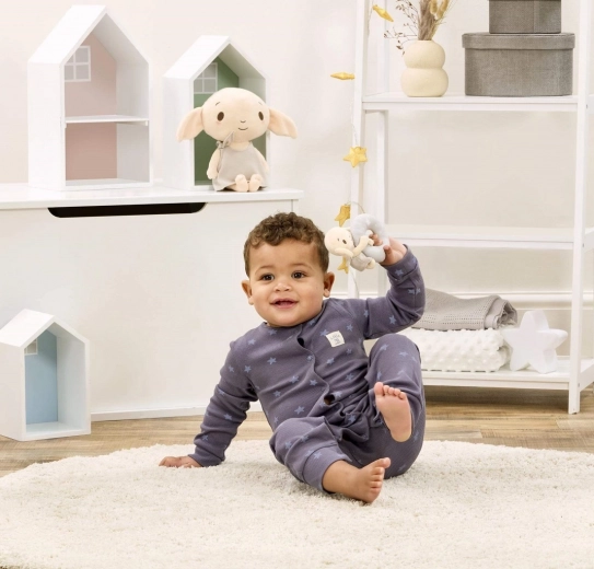 Toetab meelte arengut