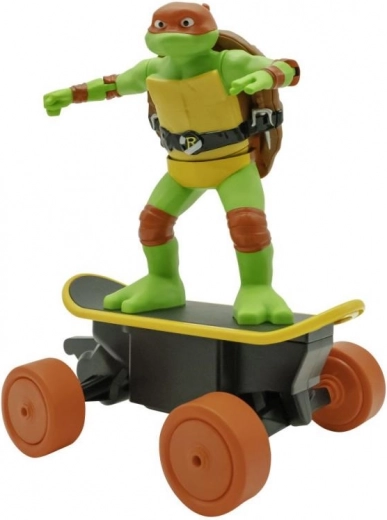 Authentic Ninja Turtles Design