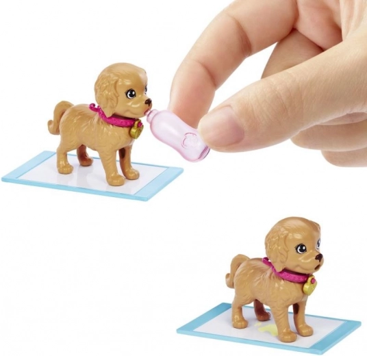 Magical transformation of dogs