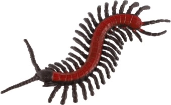 8 erinevat liiki praktilises kotis