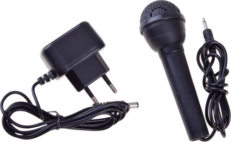 Sing and play – microphone included