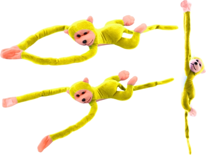 Lõbus heli kõhule vajutades