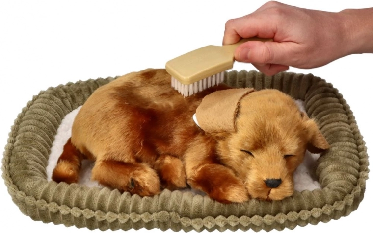 Interaktiivne hoolitsus ilma muredeta