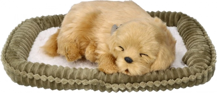 Komplektis pehme pesa