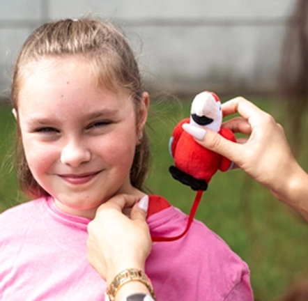 Magnetiline kaaslane teele