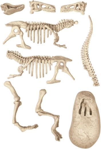 Kaevake välja ja avastage T‑Rex