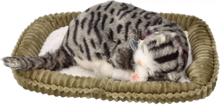 Pehme pesake hubasesse koju